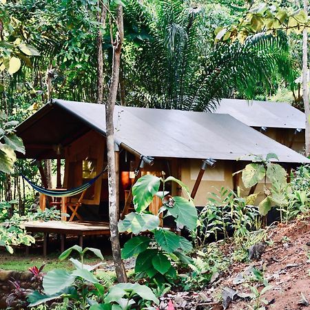 El Pulpo Safari Lodge Ojochal Εξωτερικό φωτογραφία