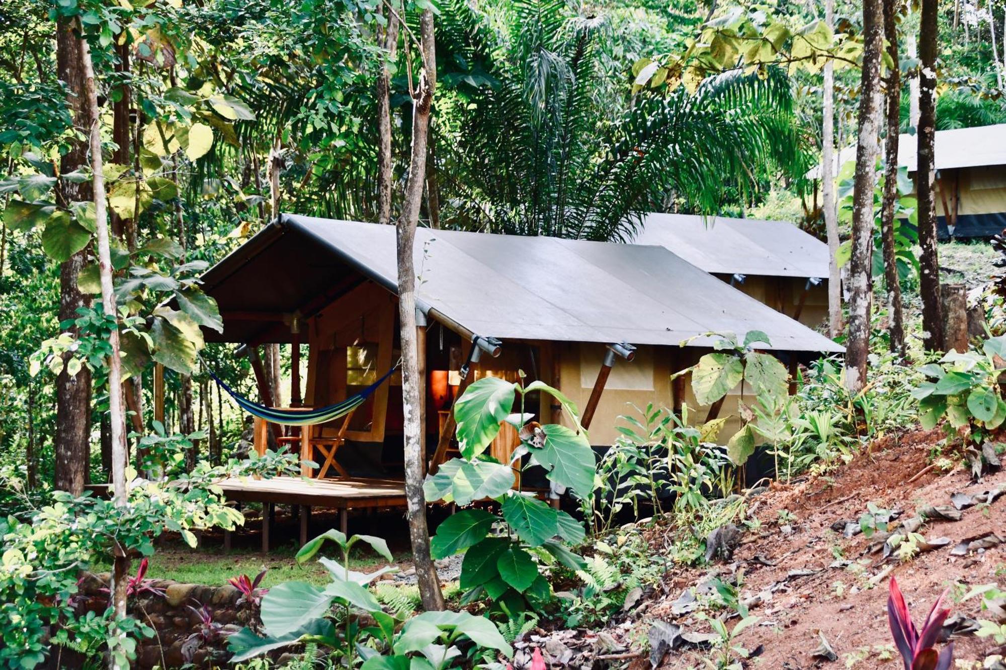 El Pulpo Safari Lodge Ojochal Εξωτερικό φωτογραφία