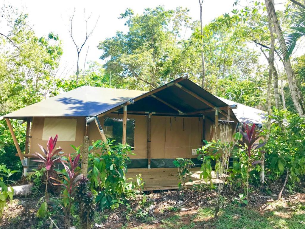 El Pulpo Safari Lodge Ojochal Εξωτερικό φωτογραφία