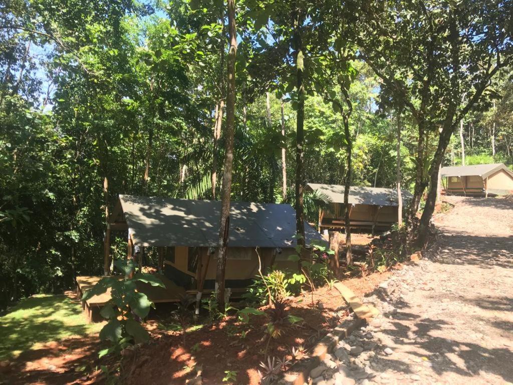 El Pulpo Safari Lodge Ojochal Εξωτερικό φωτογραφία