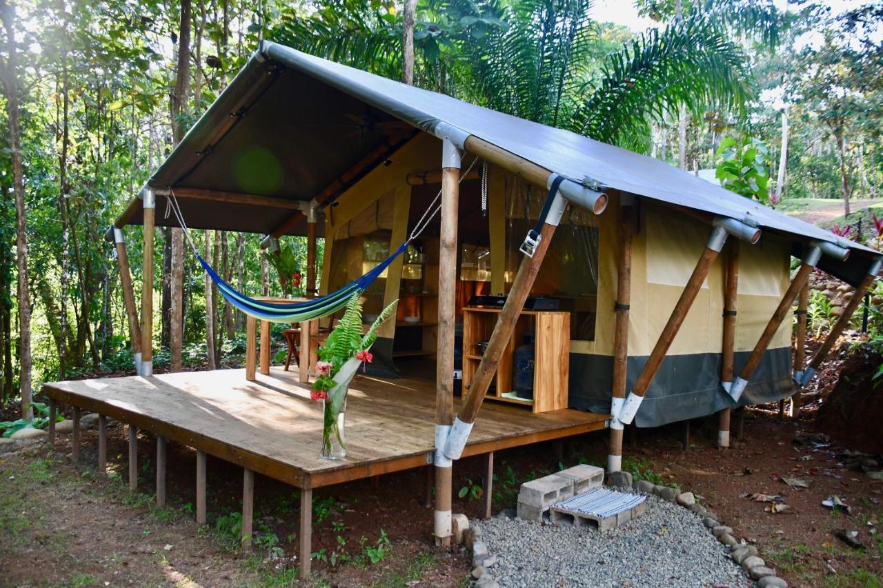 El Pulpo Safari Lodge Ojochal Εξωτερικό φωτογραφία