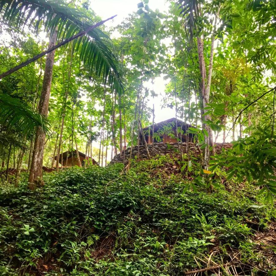 El Pulpo Safari Lodge Ojochal Εξωτερικό φωτογραφία