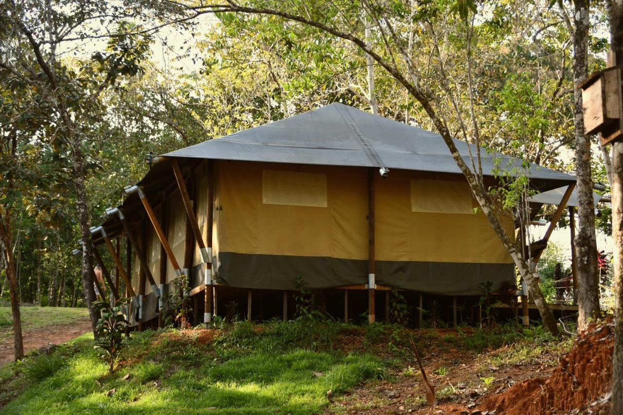 El Pulpo Safari Lodge Ojochal Εξωτερικό φωτογραφία